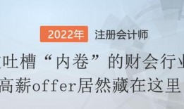 Offer在线观看,揭秘职场精英的求职之路