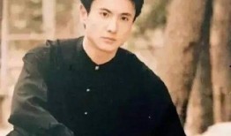 沈腾爆料的三对娱乐圈情侣解释,沈腾爆料背后的甜蜜与争议